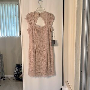 Adrianna Papel Dusty Pink lace dress